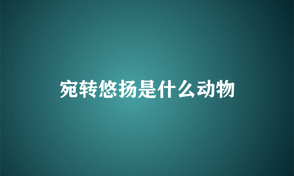 宛转悠扬是什么动物