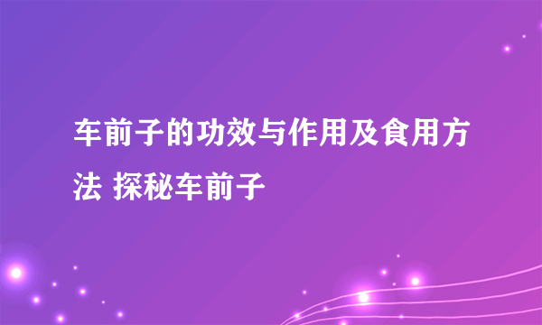 车前子的功效与作用及食用方法 探秘车前子