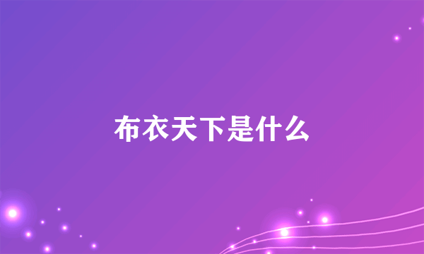 布衣天下是什么