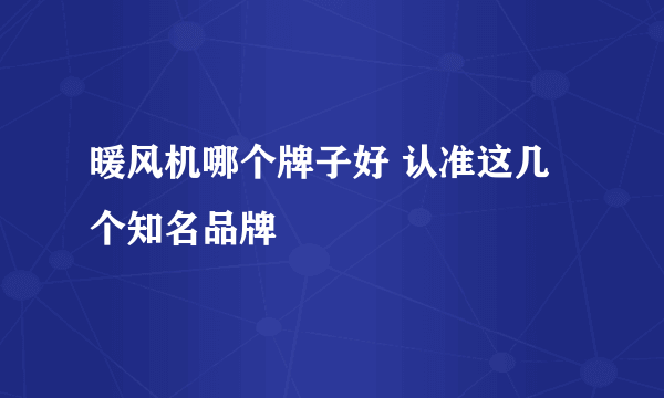 暖风机哪个牌子好 认准这几个知名品牌