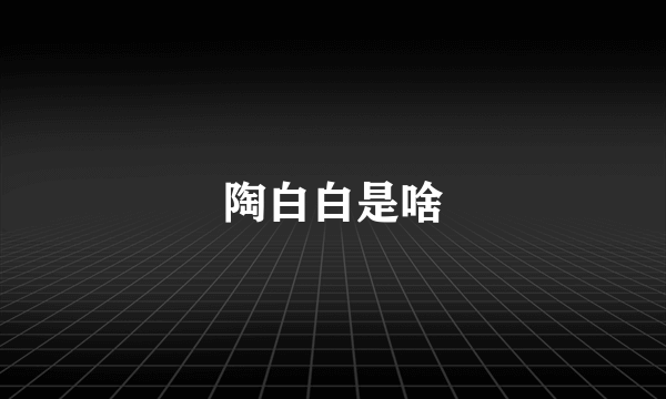 陶白白是啥