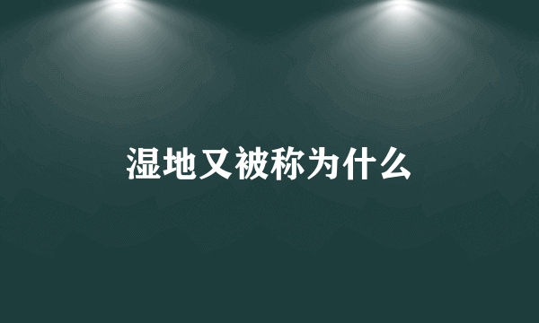 湿地又被称为什么