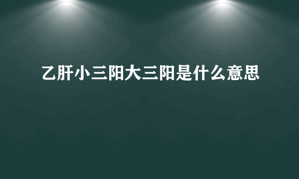 乙肝小三阳大三阳是什么意思