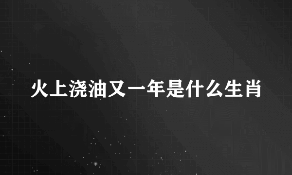 火上浇油又一年是什么生肖
