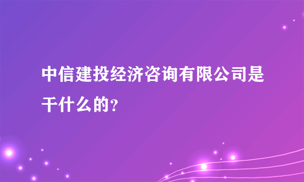 中信建投经济咨询有限公司是干什么的？