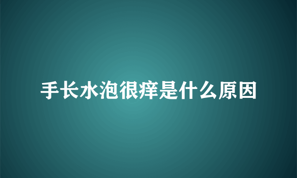 手长水泡很痒是什么原因