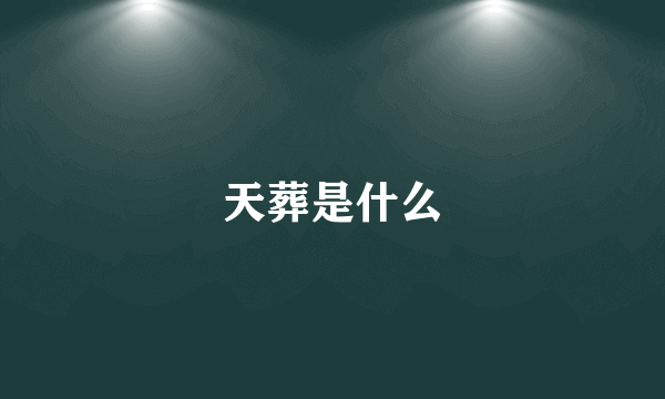 天葬是什么