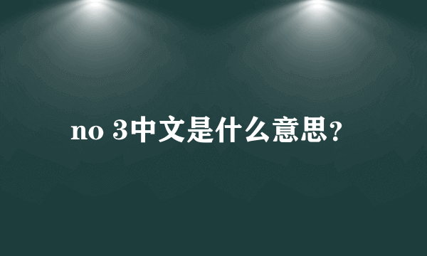 no 3中文是什么意思？