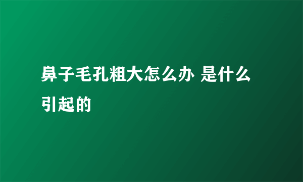 鼻子毛孔粗大怎么办 是什么引起的