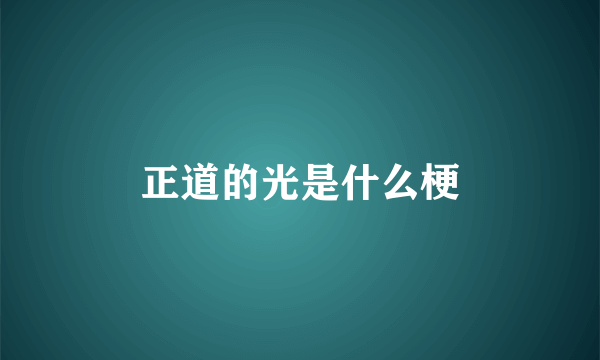 正道的光是什么梗