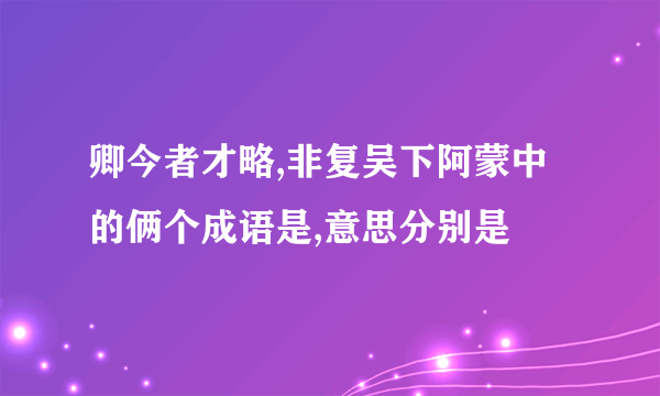 卿今者才略,非复吴下阿蒙中的俩个成语是,意思分别是