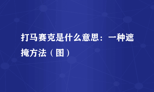 打马赛克是什么意思：一种遮掩方法（图）