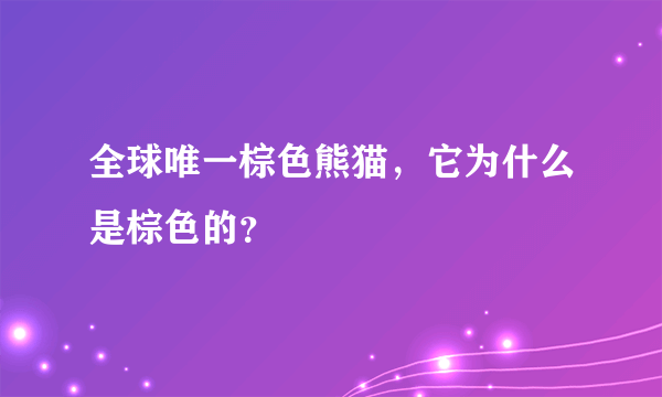 全球唯一棕色熊猫，它为什么是棕色的？