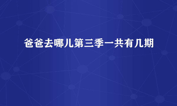 爸爸去哪儿第三季一共有几期