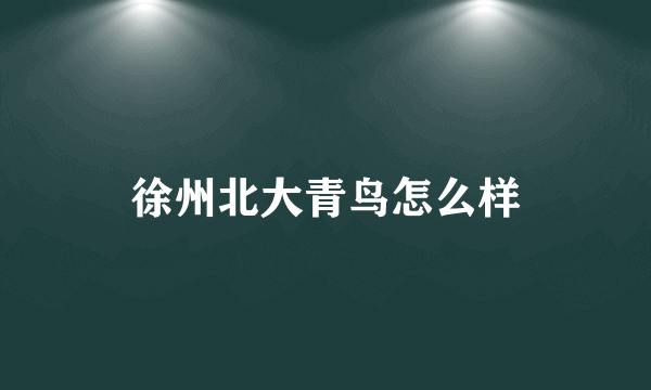 徐州北大青鸟怎么样