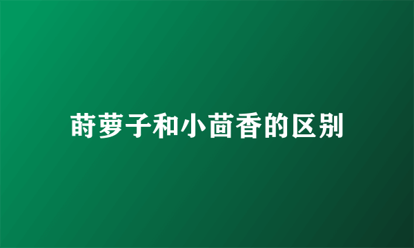 莳萝子和小茴香的区别
