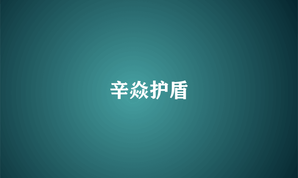 辛焱护盾