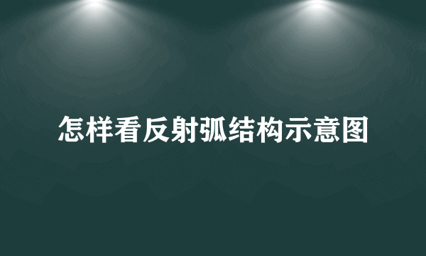 怎样看反射弧结构示意图