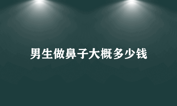 男生做鼻子大概多少钱