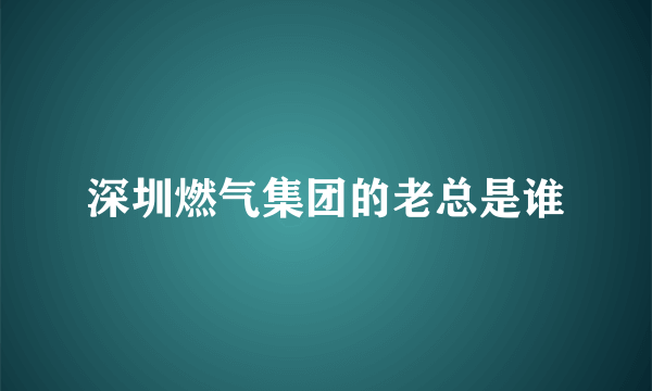 深圳燃气集团的老总是谁