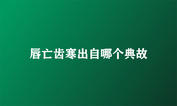 唇亡齿寒出自哪个典故