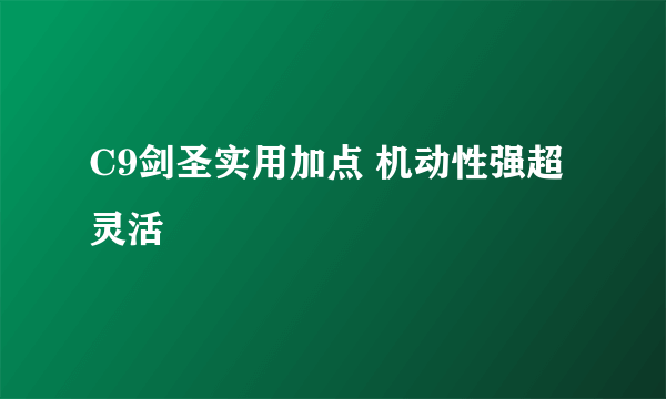 C9剑圣实用加点 机动性强超灵活