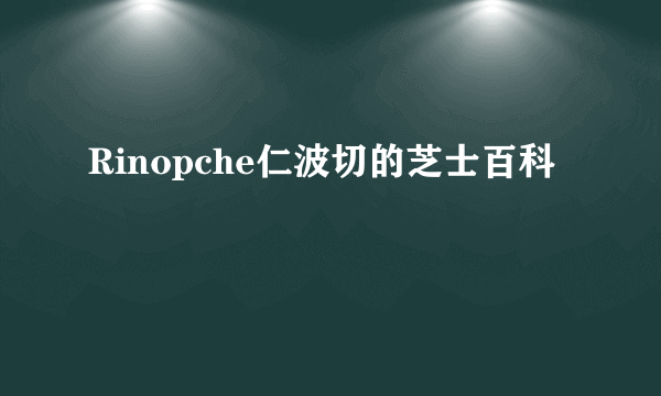 Rinopche仁波切的芝士百科