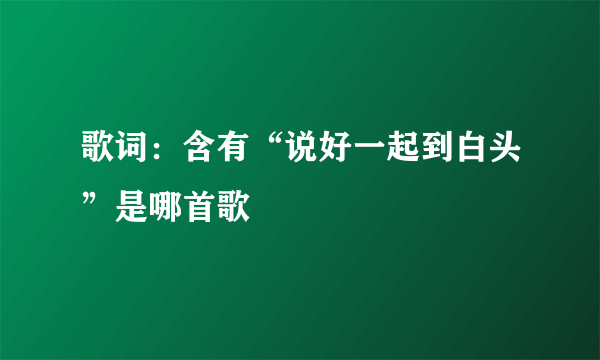 歌词：含有“说好一起到白头”是哪首歌