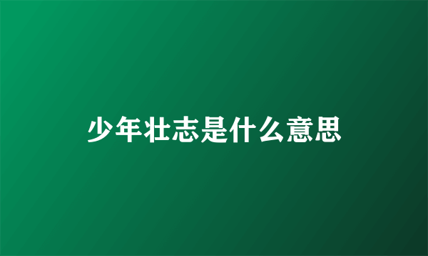 少年壮志是什么意思