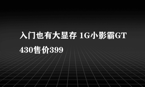 入门也有大显存 1G小影霸GT430售价399