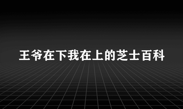 王爷在下我在上的芝士百科
