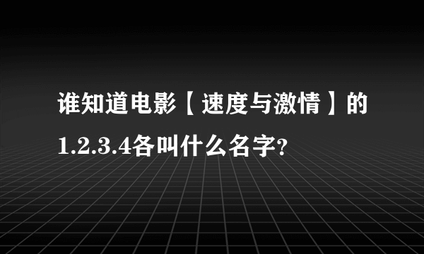 谁知道电影【速度与激情】的1.2.3.4各叫什么名字？