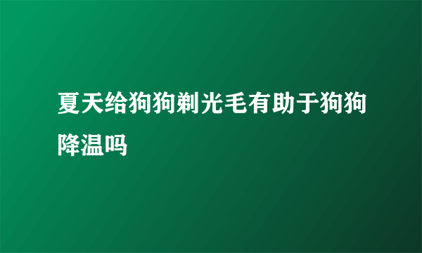 夏天给狗狗剃光毛有助于狗狗降温吗