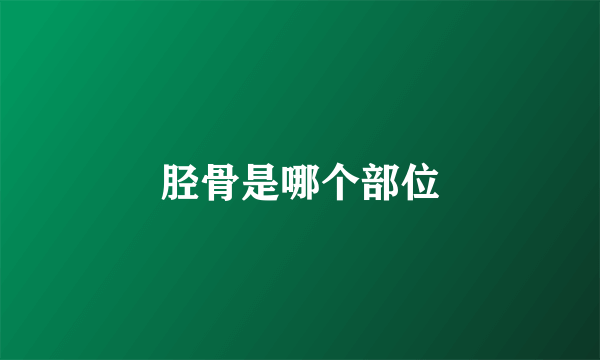 胫骨是哪个部位