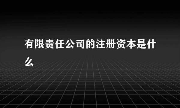 有限责任公司的注册资本是什么