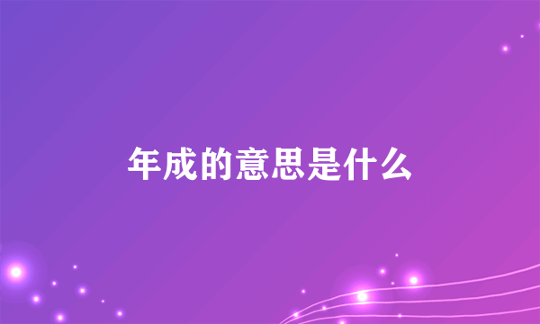 年成的意思是什么