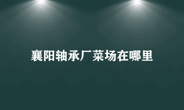 襄阳轴承厂菜场在哪里