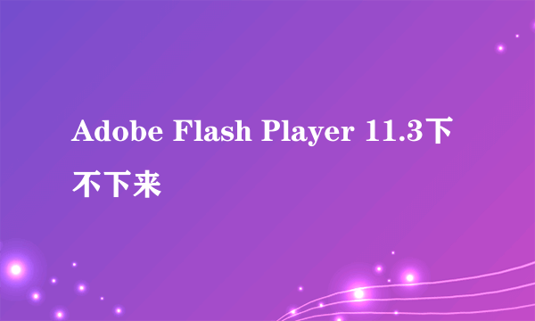 Adobe Flash Player 11.3下不下来