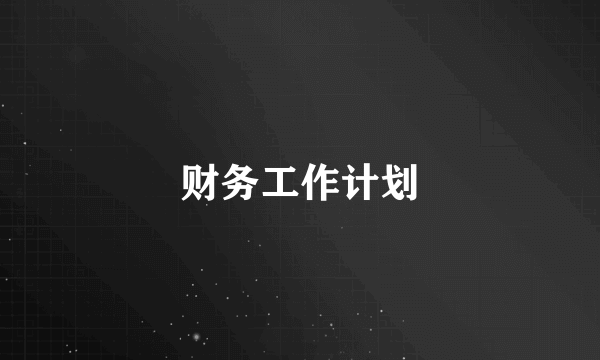 财务工作计划