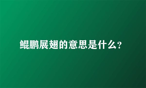 鲲鹏展翅的意思是什么？