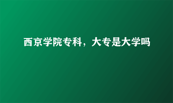西京学院专科，大专是大学吗