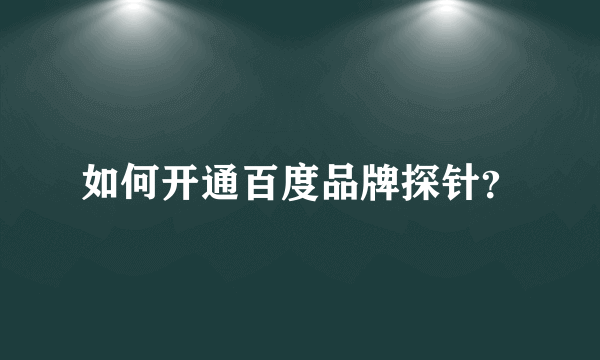 如何开通百度品牌探针？