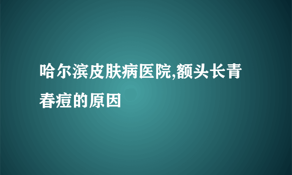 哈尔滨皮肤病医院,额头长青春痘的原因