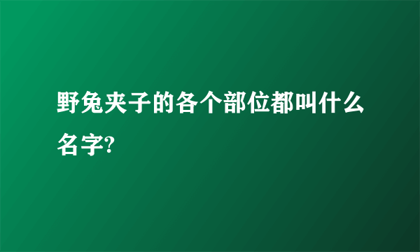 野兔夹子的各个部位都叫什么名字?