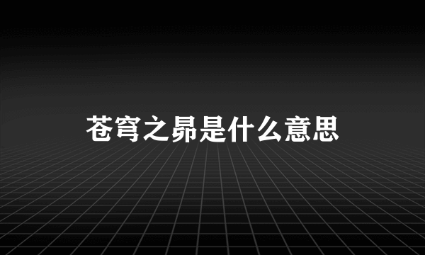 苍穹之昴是什么意思