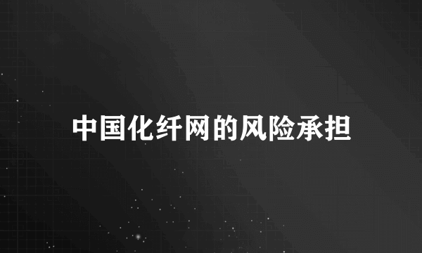 中国化纤网的风险承担