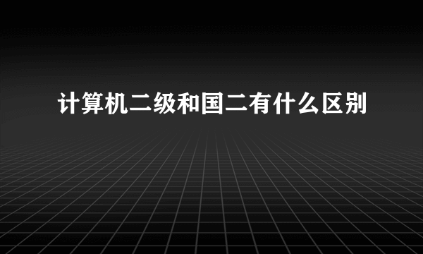 计算机二级和国二有什么区别