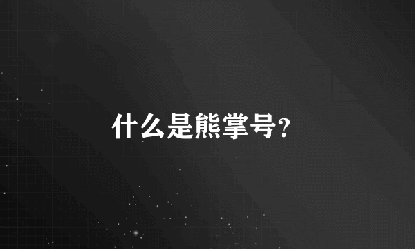 什么是熊掌号？