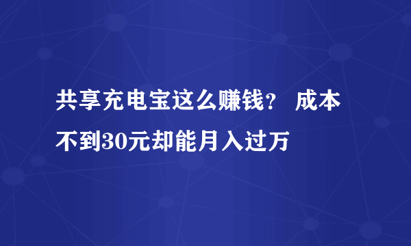 共享充电宝这么赚钱？ 成本不到30元却能月入过万