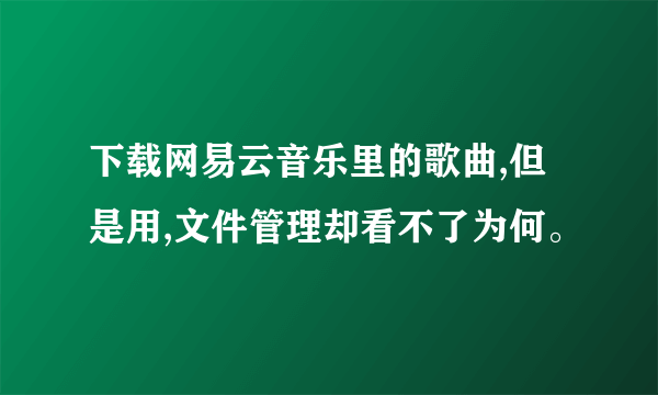 下载网易云音乐里的歌曲,但是用,文件管理却看不了为何。